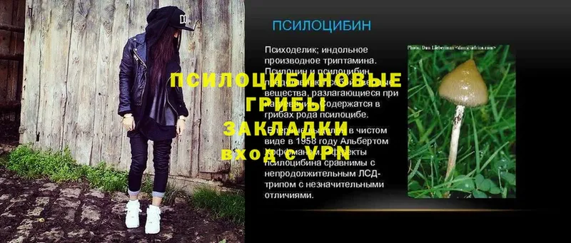 купить наркоту  нарко площадка какой сайт  blacksprut онион  Псилоцибиновые грибы мухоморы  Кинель 